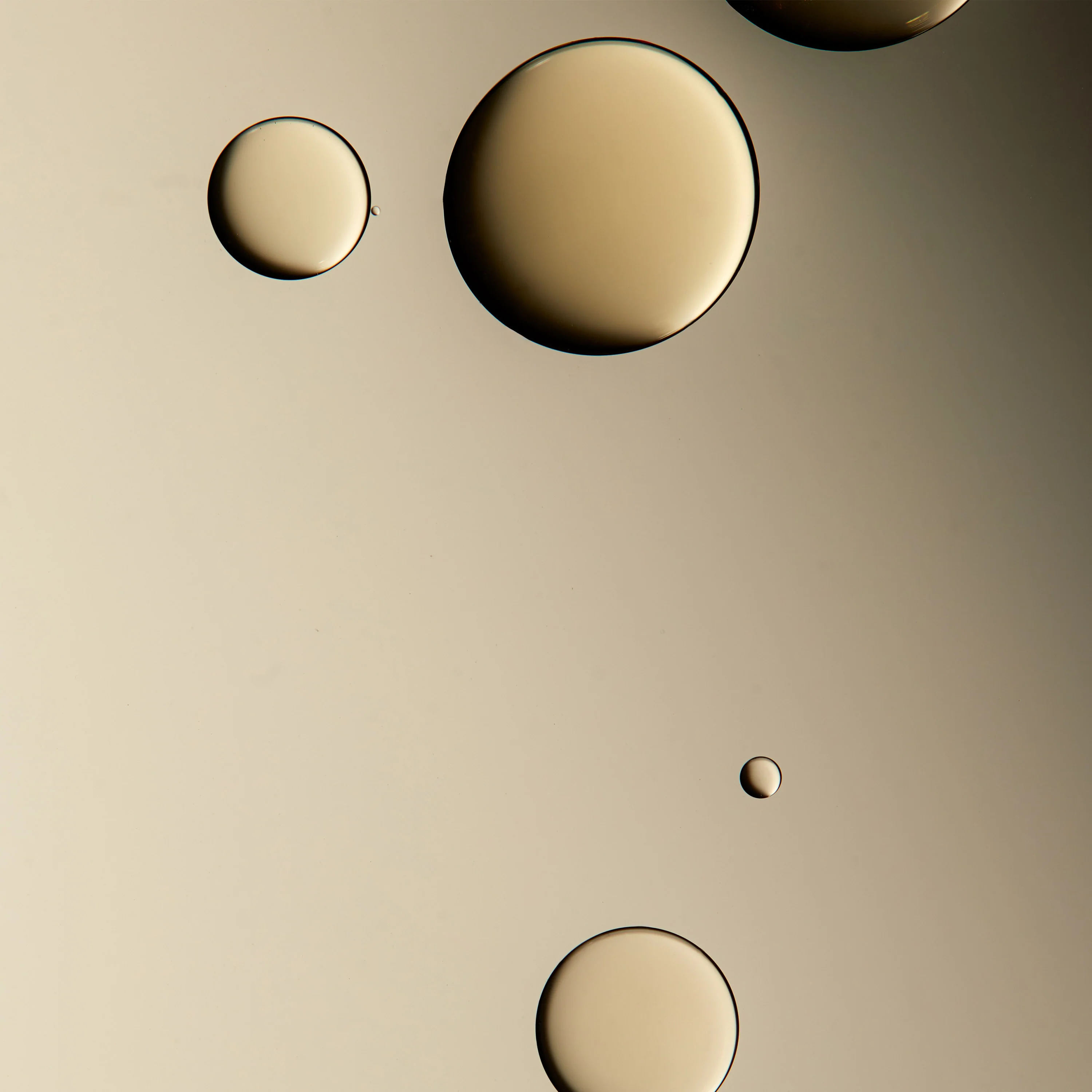 Firming Body Oil - Image 3