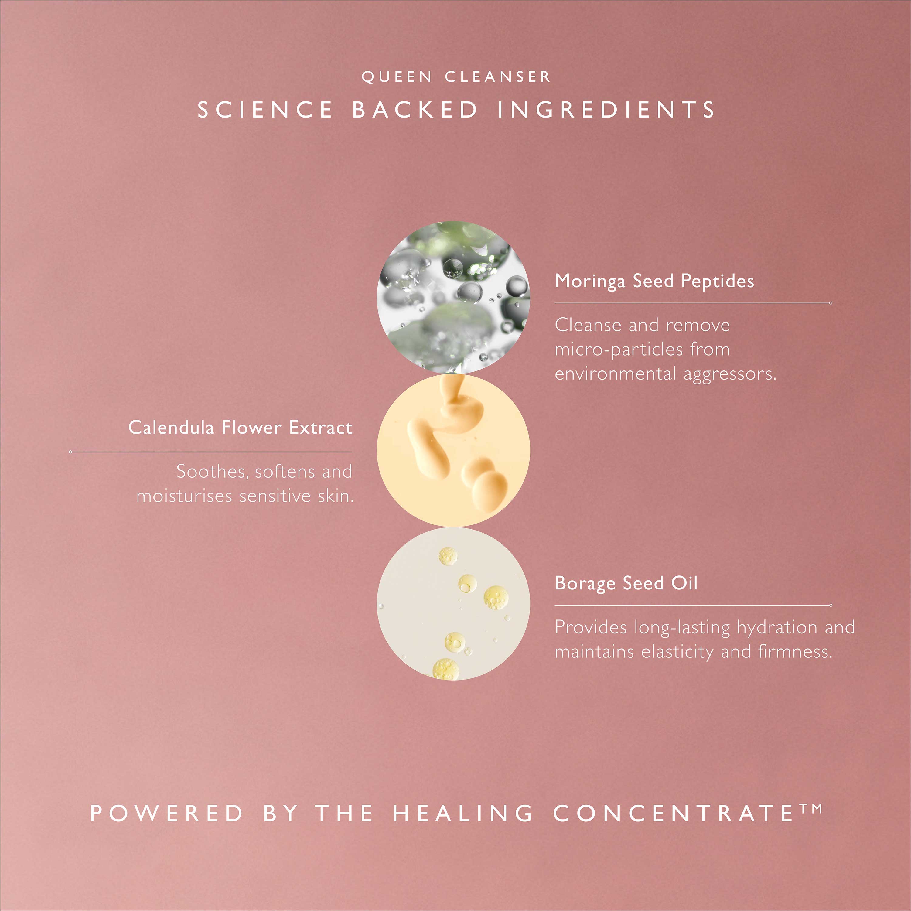 Queen Cleanser - Image 4