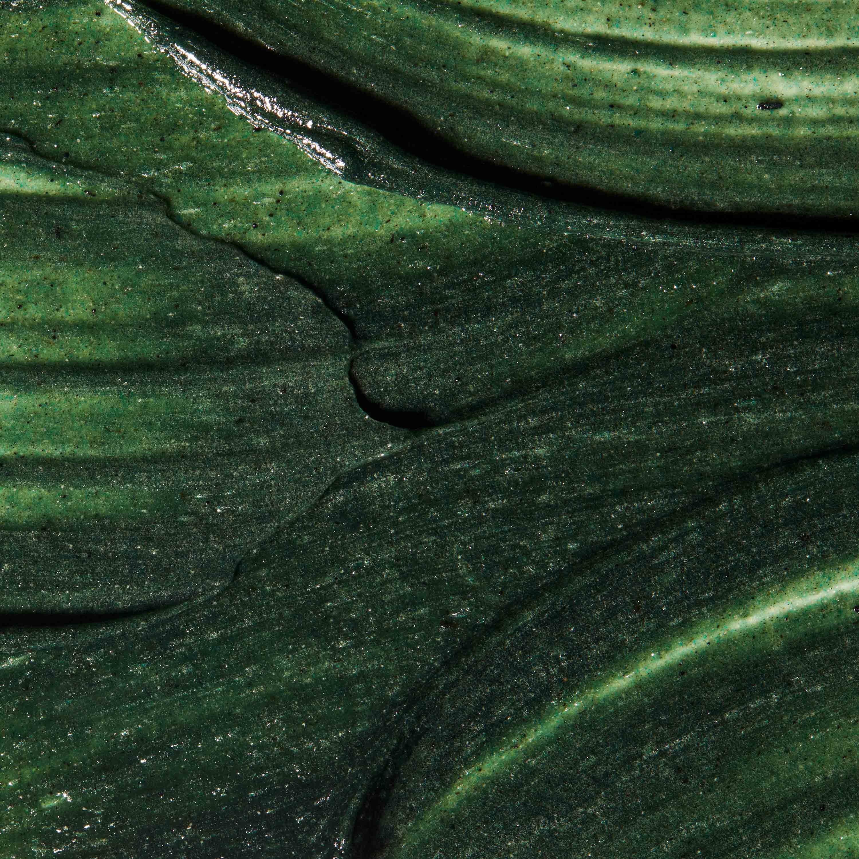 Refining Facial Polisher - Image 4