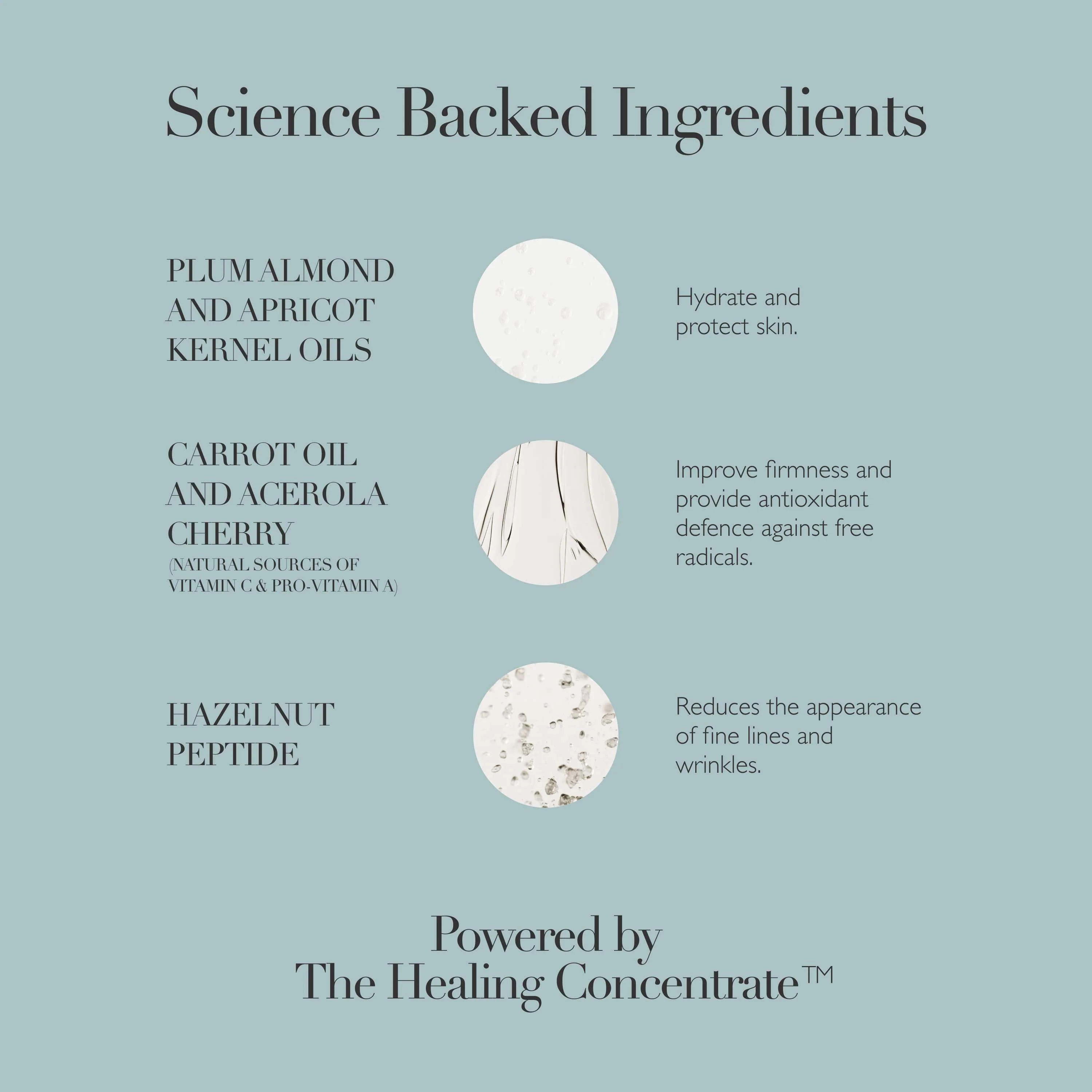 Rejuvenating Night Cream - Image 5